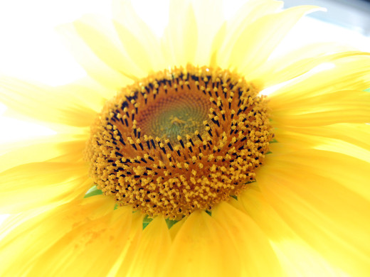 651824 (a): :1600x1200